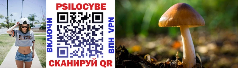 цена наркотик  Княгинино  Псилоцибиновые грибы Cubensis 